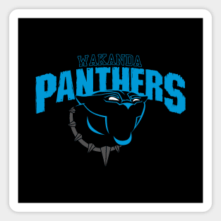 Black Fictional Panther Superhero Sports Team Magnet